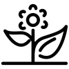 Logo Terraza